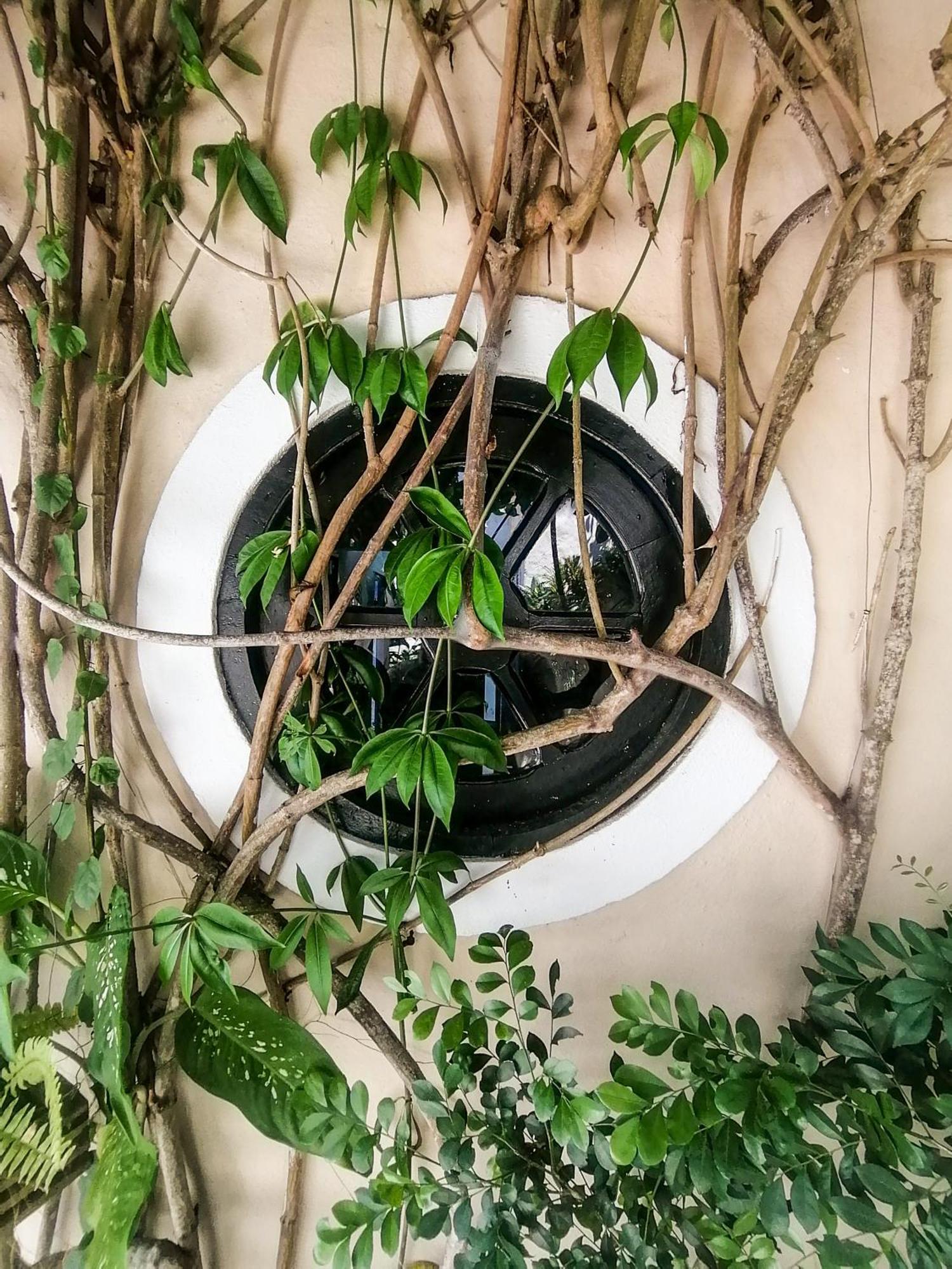 Casa A 500M Da Rua Das Pedras Em Lindo Condominio Com Portaria 24H Búzios Exterior foto